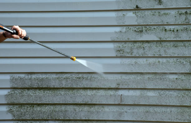 Best Best Pressure Washing Companies  in Bear Creek, AK