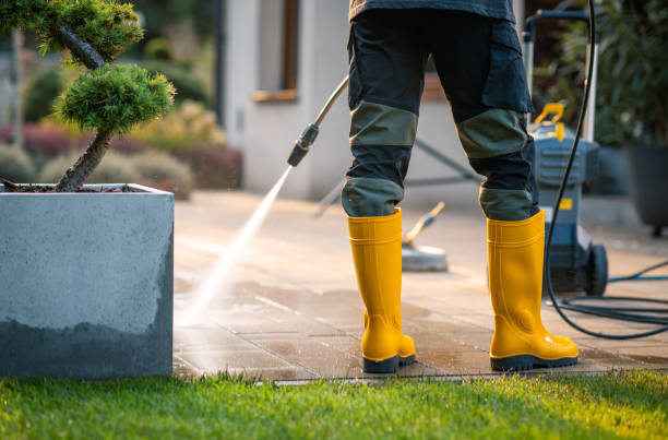 Best Sidewalk Pressure Washing  in Bear Creek, AK